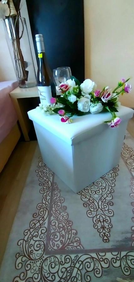 Rose & Water Guest House Pavel Banya Buitenkant foto